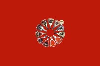 扬州市回收红酒